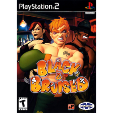 Black and Bruised art work – video game for PlayStation 2