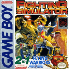 2 In 1: Flying Warriors / Fighting Simulator Game Boy box art – classic retro game for GameBoy