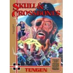 Skull and Crossbones NES box art – classic 8-bit game for Nintendo NES