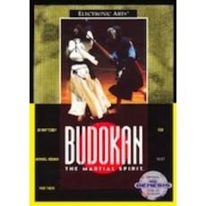 Sega Genesis Box Art Budokan: The Martial Spirit