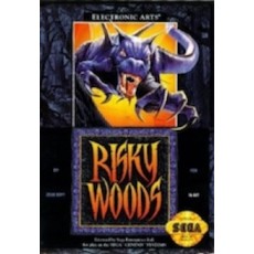 Sega Genesis Box Art Risky Woods