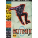 Sega Genesis Box Art Skitchin