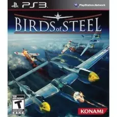 Birds Of Steel art work – video game for PlayStation 3