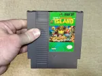 Adventure Island NES Cartridge