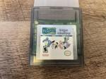 Dragon Tales Dragon Adventures - Authentic GameBoy Color Game