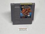 Tecmo Wrestling - Nintendo NES Game